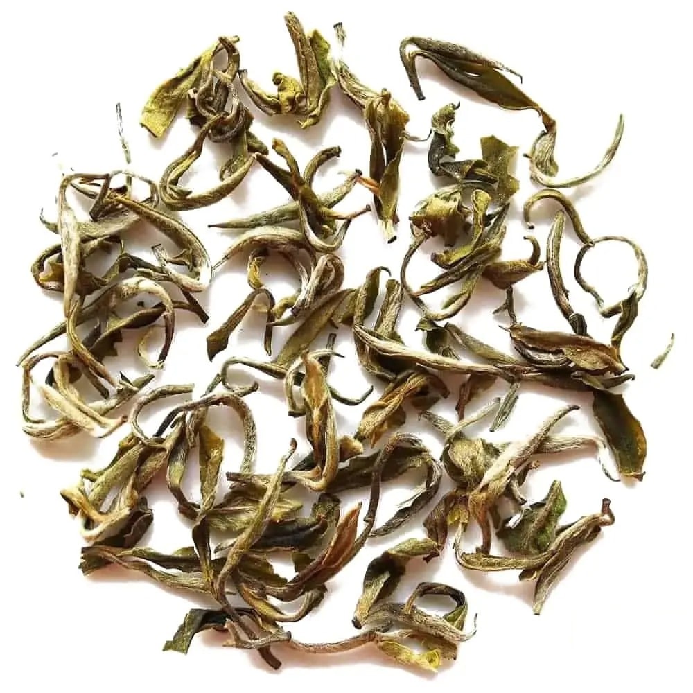 Boccioli di neve Bai Mu Dan
