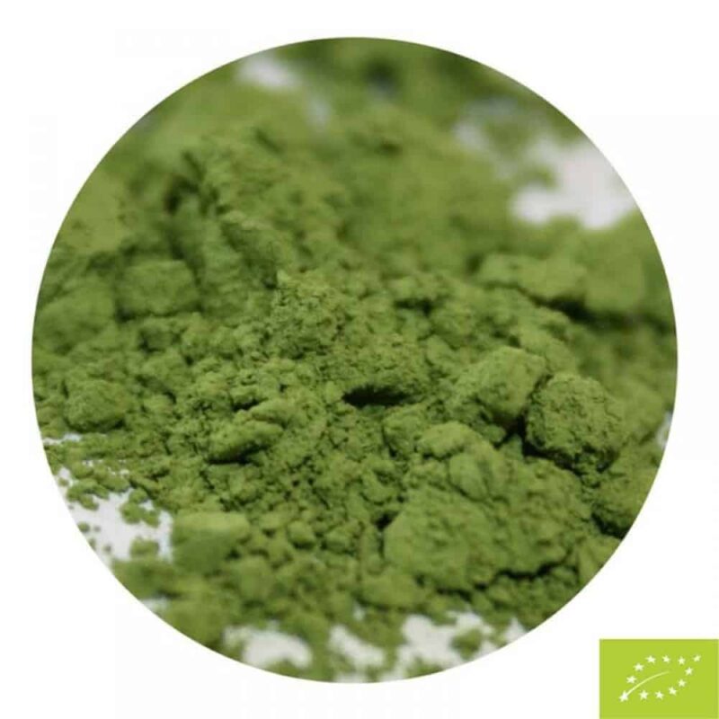 Matcha biologico