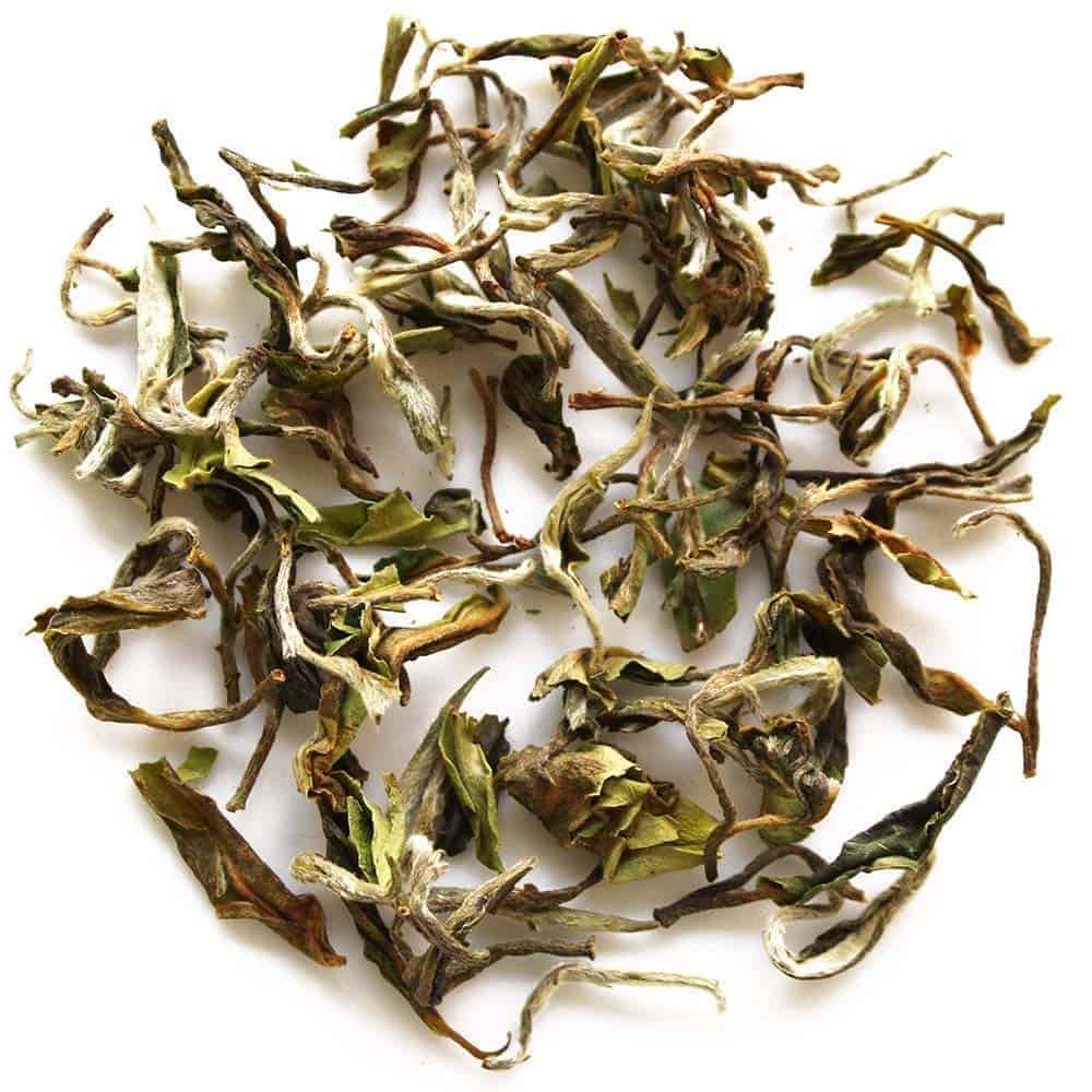 Singola Primavera Magica