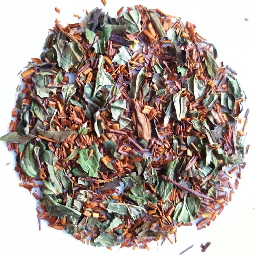 Rooibos silvestre Menta