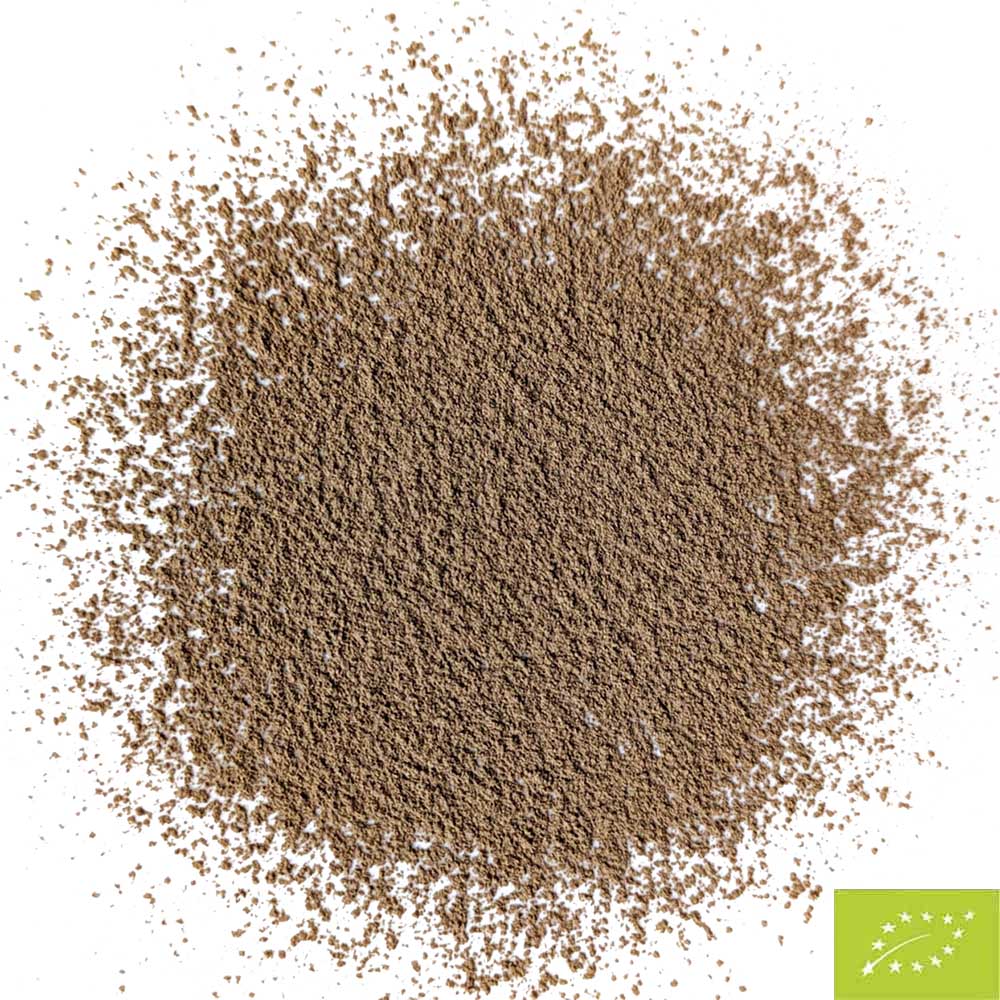 Polvere di Hojicha