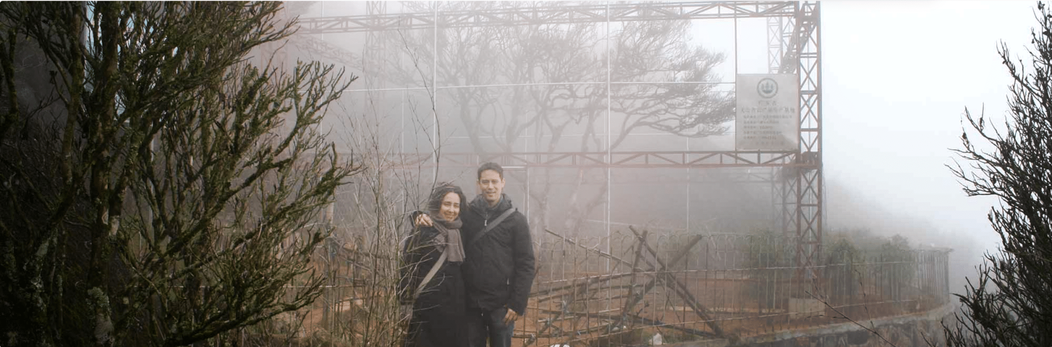 Premiumte för servering och grossist