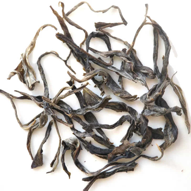 simao-forrest-arbor-2025 Simao Old Arbor Forest Tea 2025