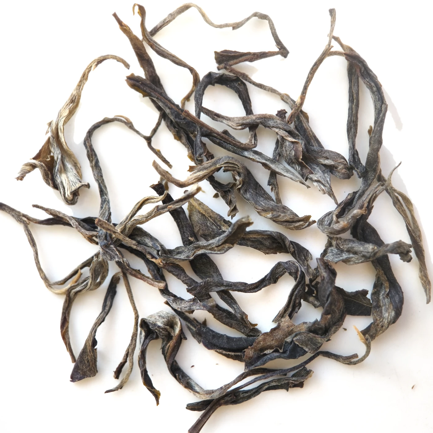simao-forrest-arbor-2025 Simao Old Arbor Forest Tea 2025